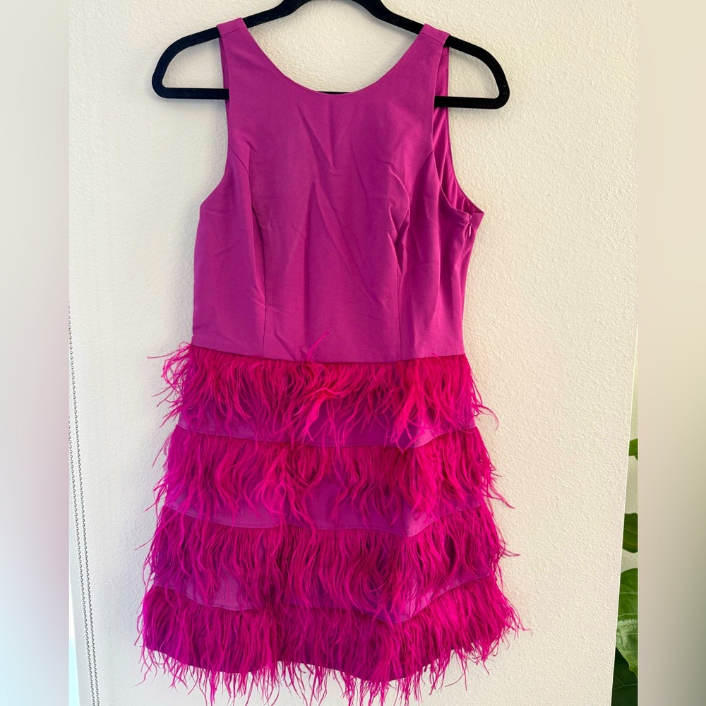 Hutch Fuchsia Feathered Mini Dress